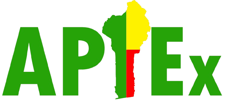 Logo du partenaire APIEX-BENIN